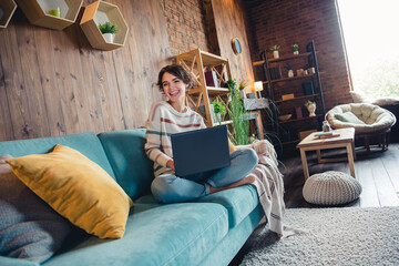 Sticker - Full size portrait of cheerful excited girl sit comfy sofa use wireless laptop modern flat living room indoors