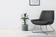 Comfortable armchair and houseplant near white wall indoors, space for text. Interior design