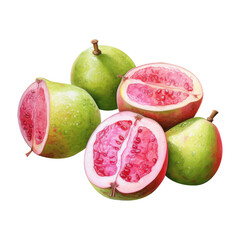 Wall Mural - Watercolor Guava fruit