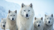 a family of wolves on a snowy tundra