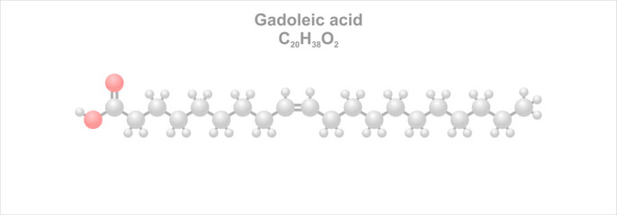 Wall Mural - Gadoleic acid. Simplified scheme of the molecule. Prominent component of cod liver oil.