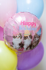 Wall Mural - colorful balloons with helium, balloon with kittens