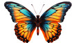 Butterfly Image, Transparent Insect, PNG Format, No Background, Isolated Colorful Flutterer, Winged Beauty