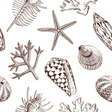 Seamless Pattern With Marine Life Drawings. Hand Drawn Seashells And Corals