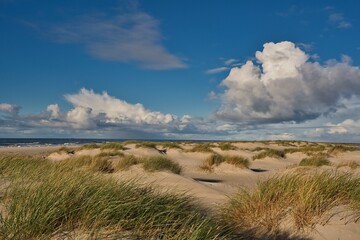 Wall Mural - Amrum Insel Schleswig-Holstein Deutschland Nordsee Welterbe UNESCO