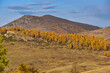 © Renovacio - Early morning in the Kurai steppe of Altai in autumn. Altai Republic. Scenery.
