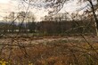 Winter Natur Wald Feld Flur