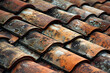 New Protective Ceramic Roof Tiles: Fired Texture with Patterned Construction