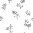 © incarnadine - Vector hand drawn sketch doodle branches leaves seamless pattern. Black and white texture print. Abstract simple botanical leaf stem printing. Template for textile, fashion, print,  fabric, wallpaper