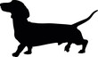 Dachshund, Wiener dog, Badger dog, Doxie, Sausage dog SVG Cut File for Cricut and Silhouette, EPS ,Vector, PNG , JPEG, Zip Folder