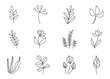 Floral line set. Various hand drawn plants, flowers and leaves. Natural doodle elements. Vector illustration on white background. 