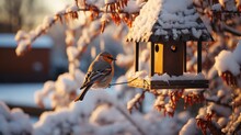 Little Snow Covered Birdhouse