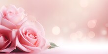 Horizontal Banner With Rose Of Pink Color On Blurred Background. Copy Space For Text. Mock Up Template 