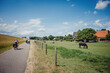 Familie passiert während einer Fahrradtour durch die Niederlande einen Bauernhof mit Weide, auf der ein schwarzes Pferd grast
