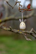 An Easter egg hangs on a tree as a decoration. Concept: holidays or decoration