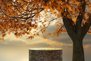 Wall Mural - Abstact 3d render Natural background,  Stone podium under the big tree, Backdrop sunset, sky, sun and clouds for product display, advertising, cosmetic, mockup or etc