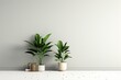 Plants for home decor