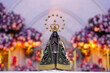 © sidneydealmeida - Image of Our Lady of Aparecida - Statue of the image of Our Lady of Aparecida