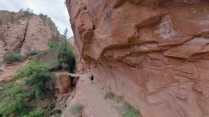 Wall Mural - Approaching Echo Canyon in Zion National Park