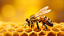 Bee And Comb, Pollination, Hive, Worker Bee, Queen Bee, Drone, Nectar, Pollen, Beekeeping, Honeycomb, Foraging, Honey Extraction, Swarm, Bee Sting, Pollinator, Bee Health, Honeybee Lifecycle, 16:9