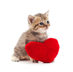 Canvas Print - Kitten with toy heart.