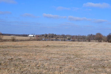 Wall Mural - Lake in a Field