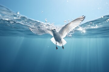 Closeup of a seagull diving in the water