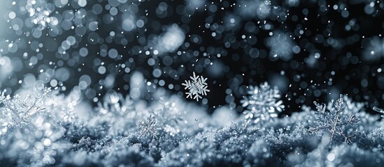Fototapete - snow black background abstract texture snowflakes falling in the sky overlay. Creative Banner. Copyspace image