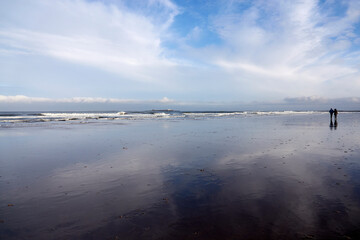 Wall Mural - Bamburgh castle beach