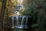 Fototapeta Dmuchawce - Waterfall in the forest