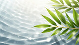 Fototapeta Sypialnia - spa background banner with green bamboo leaf on white transparent water wave in sunlight, concept with copy space for travel, cosmetics and beauty care