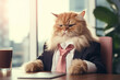 Businessman cat in a dark jacket and pink tie using a computer at a desk in the office