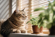 A cozy living room with a playful tabby cat perched on a sunlit windowsill, adding warmth and companionship to the home. Concept of feline coziness. Generative Ai.