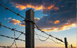 barbed wire against a background of blue sky with clouds