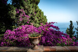 Fototapeta  - Villa comunale garden in Taormina. City park with landscaped gardens and picturesque views in Taormina, Sicily in Italy