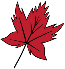 red maple leaf