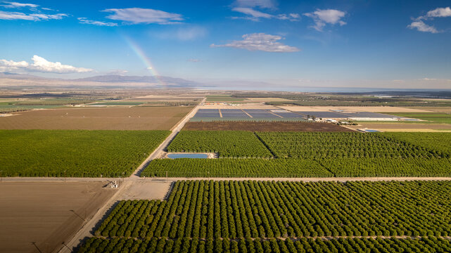 Aerial view of fields with a rainbow and the salton sea in the distance