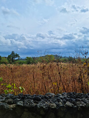 Canvas Print - Grassland with cloudy sky and stone wall.