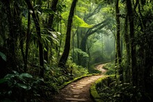 Path In The Rainforest Of Doi Inthanon National Park, Chiang Mai, Thailand, AI Generated