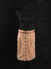 Canvas Print - brown long skirt on a mannequin