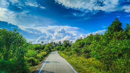 Pantai Sepat, Kuantan Pahang, Malaysia - November 29, 2023: 
A grey road in the green jungle and blue line for cycle path with bright cloudy sky.