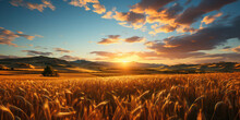 Beautiful Landscape Of Sunset Over Wheat Field At Summer