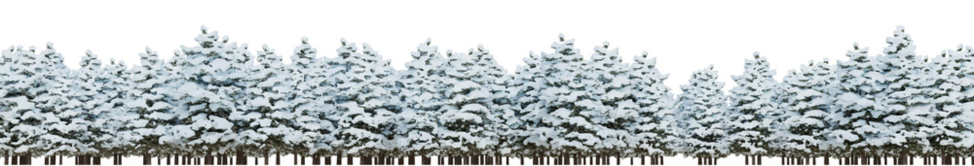 Wall Mural - Pine tree covered snow in the garden, Winter forest isolated on transparent background - PNG file, 3D rendering illustration for create and design or etc