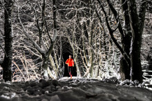 Man Running On Snow Under Trees In Winter Forest At Night