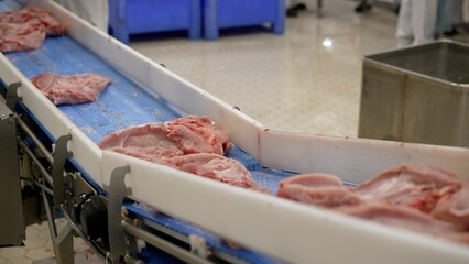 Meat processing in the food industry. Raw meat on a conveyor belt. Meat is transported on a conveyor belt of an industrial enterprise. Fresh raw chops at a meat processing plant.