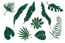 Set Of Green Tropical Leaves With Golden Outline.Decorative Botanical Elements.Vector Graphics.