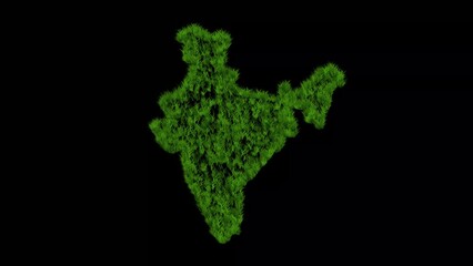 Wall Mural - Indian map with green grass effect on plain black background