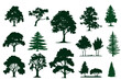 Silhouette tree drawing set, Side view, sketch set of graphics trees elements outline symbol for architecture and landscape design drawing.