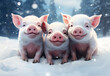 Three pigs or piglets wearing their winter hats in winter snow background at christmas