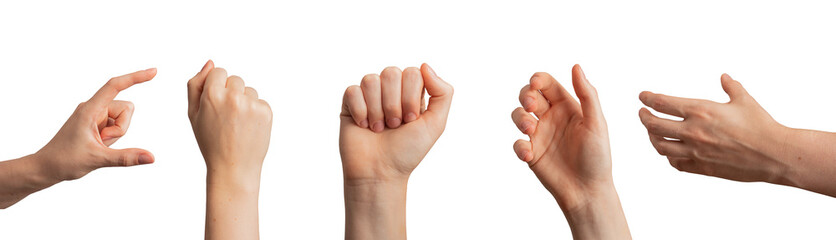 Wall Mural - Different hand gesture, sign, symbol set. Holding, grabbing, show quantity, fist isolated on white